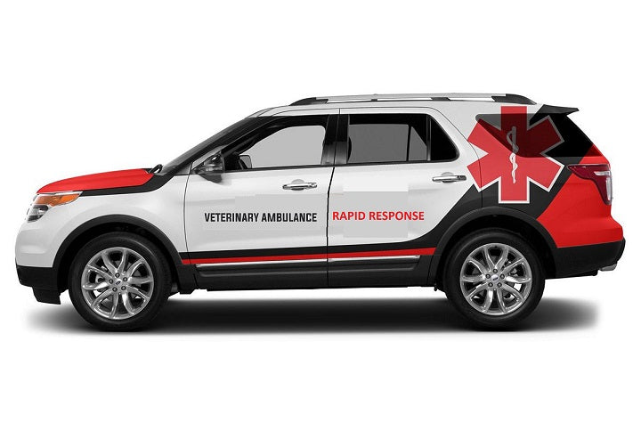 Rapid Response Units (RRUs)